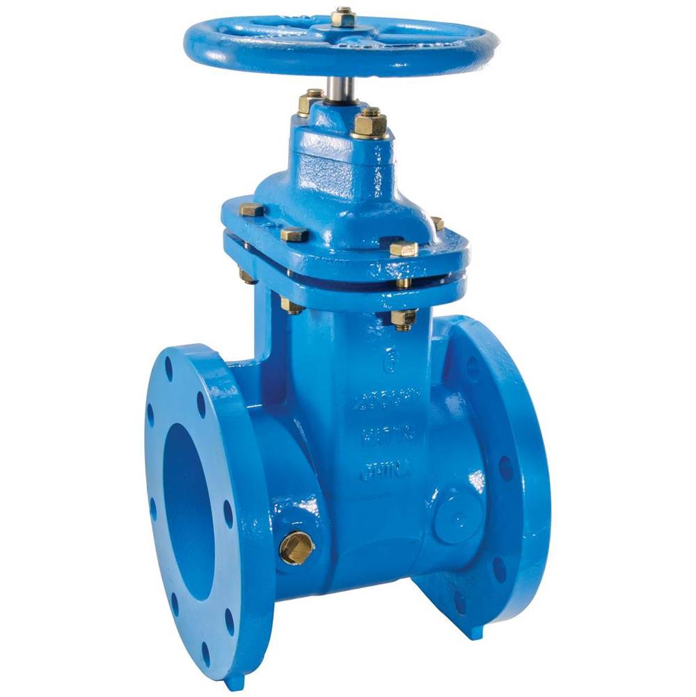 Watts 8 In Resilient Wedge Gate Valve